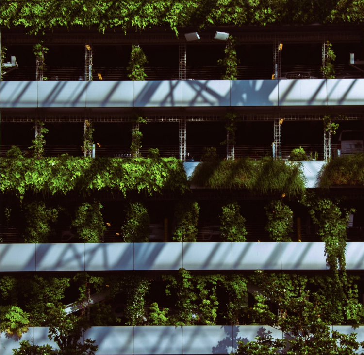 Screen Shot 2025-01-07 at 13.25.41