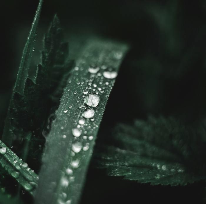 Screen Shot 2025-01-07 at 13.28.10