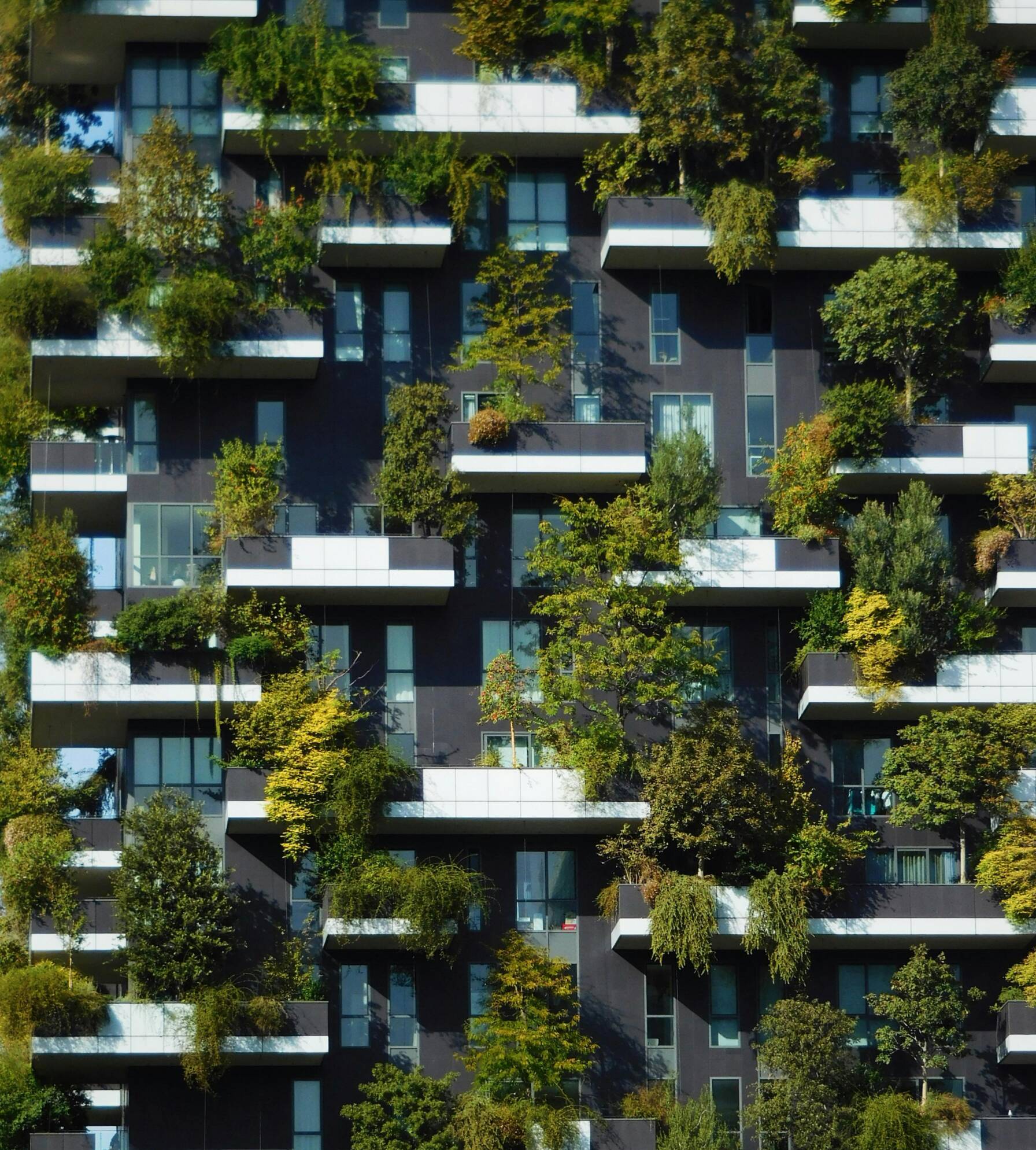 pexels-simge-tek-595852070-19085381