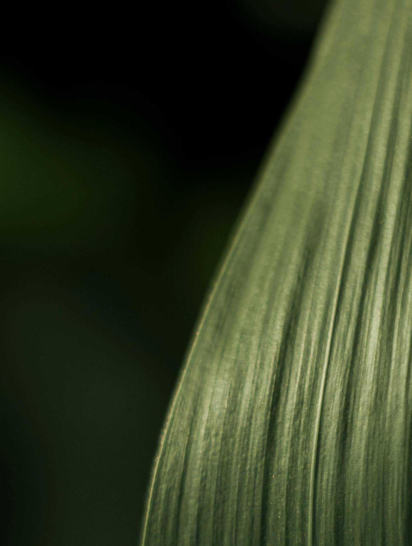 pexels-umair-pir-26953782-8897346